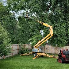 Best Firewood Processing and Delivery  in Arbutus, MD