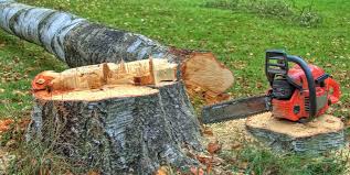 Best Utility Line Clearance  in Arbutus, MD